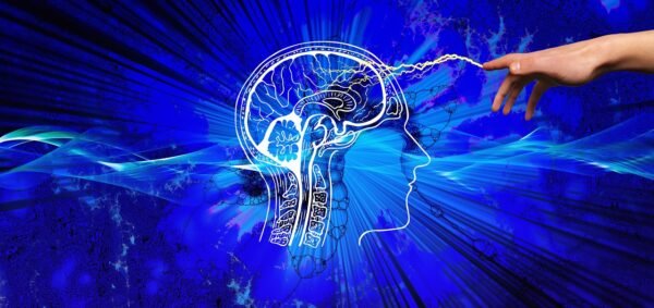 AI Governance: Charting A Course For Algorithmic Equity