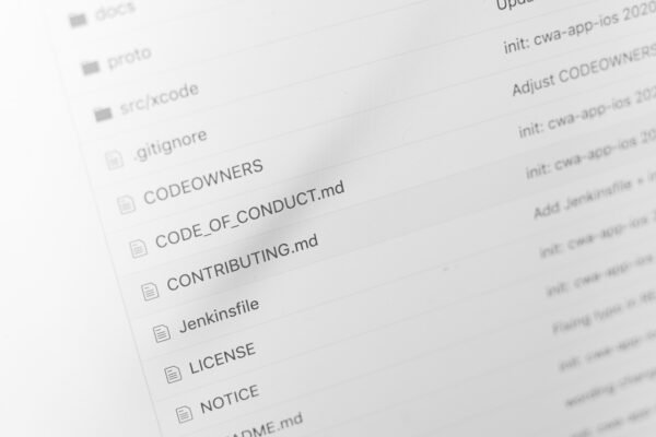 AI Ethics: Bridging Frameworks, Embracing Global Values